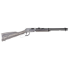 carabine rio bravo nickel bois lamine gris 22lr